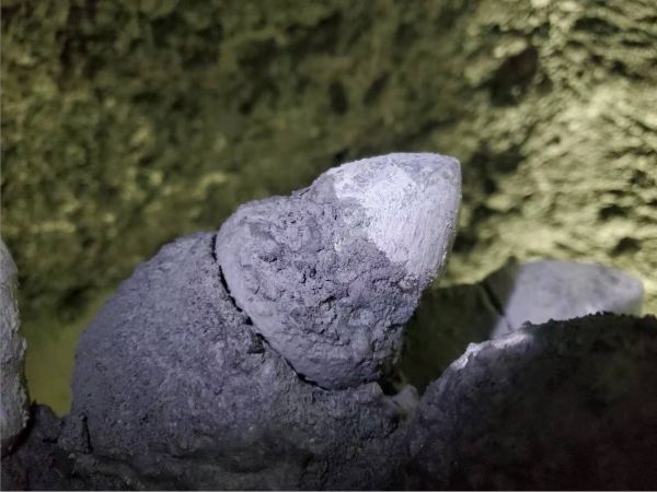 株洲j9娱乐机械科技股份有限公司,株洲煤截齿,掘进齿销售